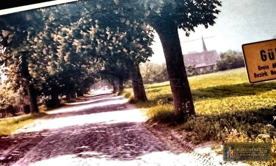 Allee im Tollensetal – Schlösserrallye