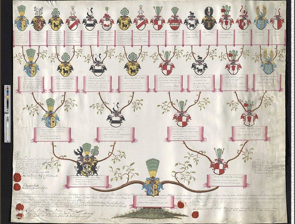 Tablica przodków (Aufschwörungstafel) Zakonu Joannitów dla Gustava Theodora Hellmutha Dietericha von Maltzahna (ur. 1788 w Rothmannshagen), Berlin, grudzień 1801, 16 przodków – GStA PK, X. HA, Rep. 9, Nr. 1154