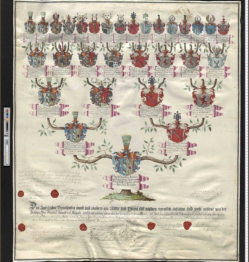 Tablica przodków (Aufschwörungstafel) Zakonu Joannitów dla Bogislava Helmutha von Maltzahna (ur. 1724 w Wolde), 16 herbów przodków – GStA PK, X. HA, Rep. 9, Nr. 641