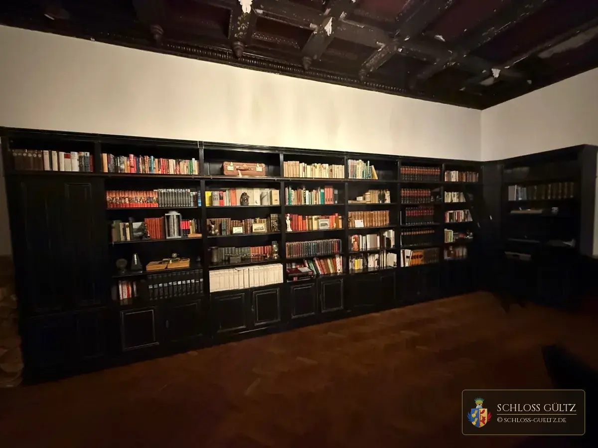 Reprezentacyjna biblioteka