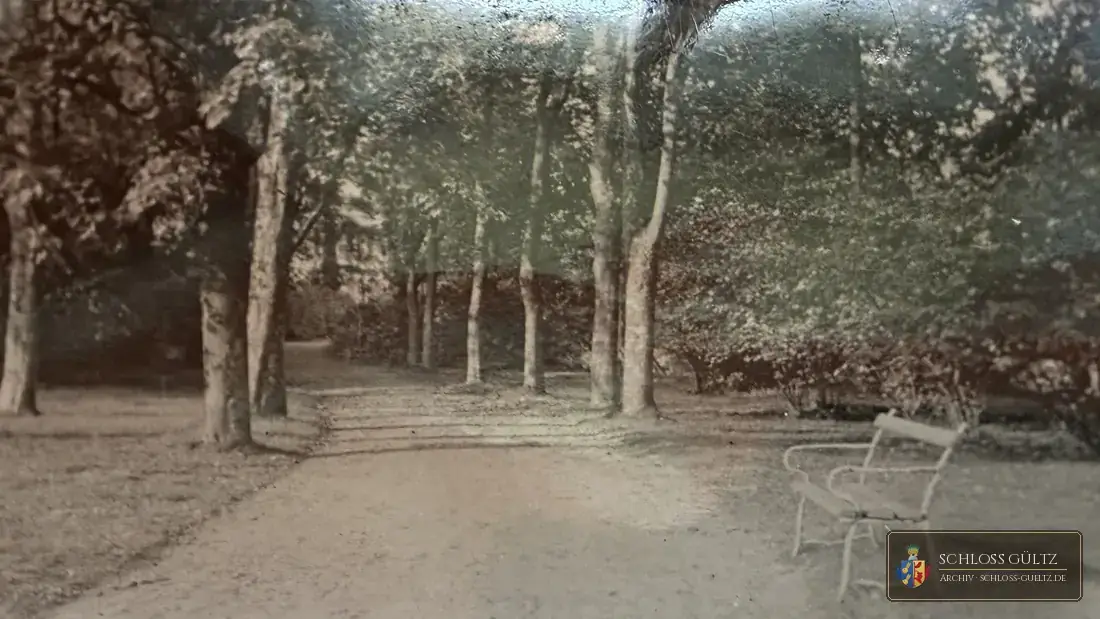 Parkweg unter hohen Bäumen mit einer weißen Gartenbank – Fotografie aus einem Familienalbum